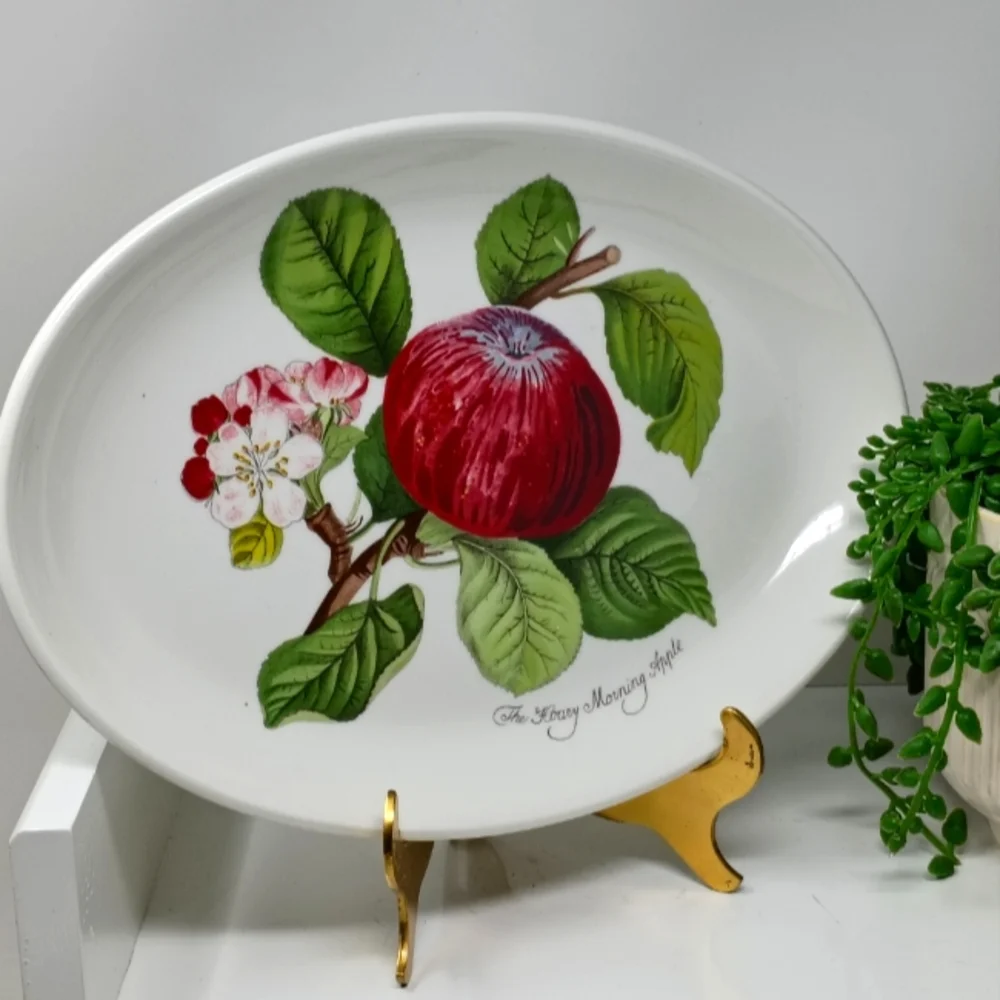 Portmeirion 11 Inch Oval Plate. 